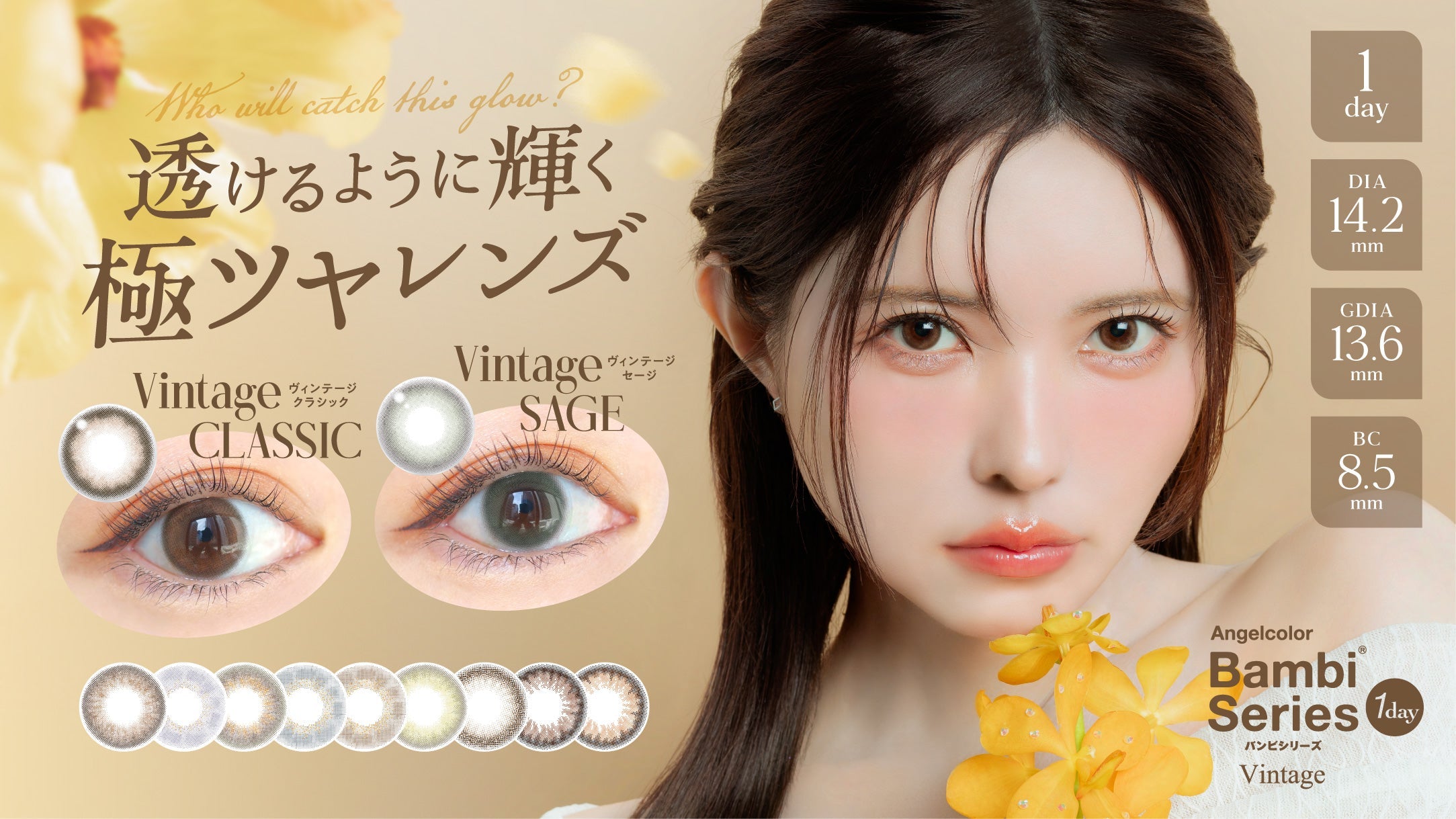 Bambi Series Vintage | 1day