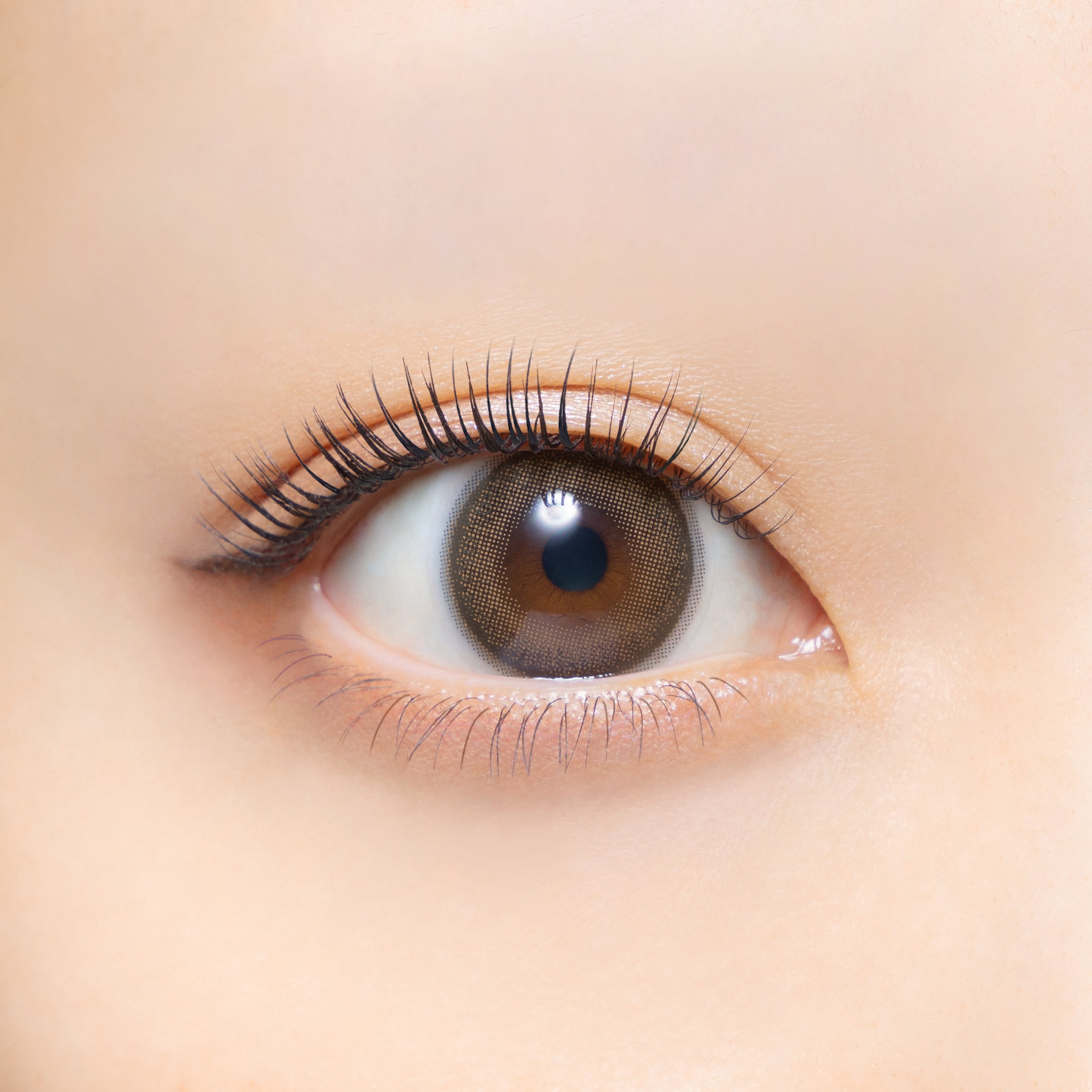 เซเปียมูด | 1วัน