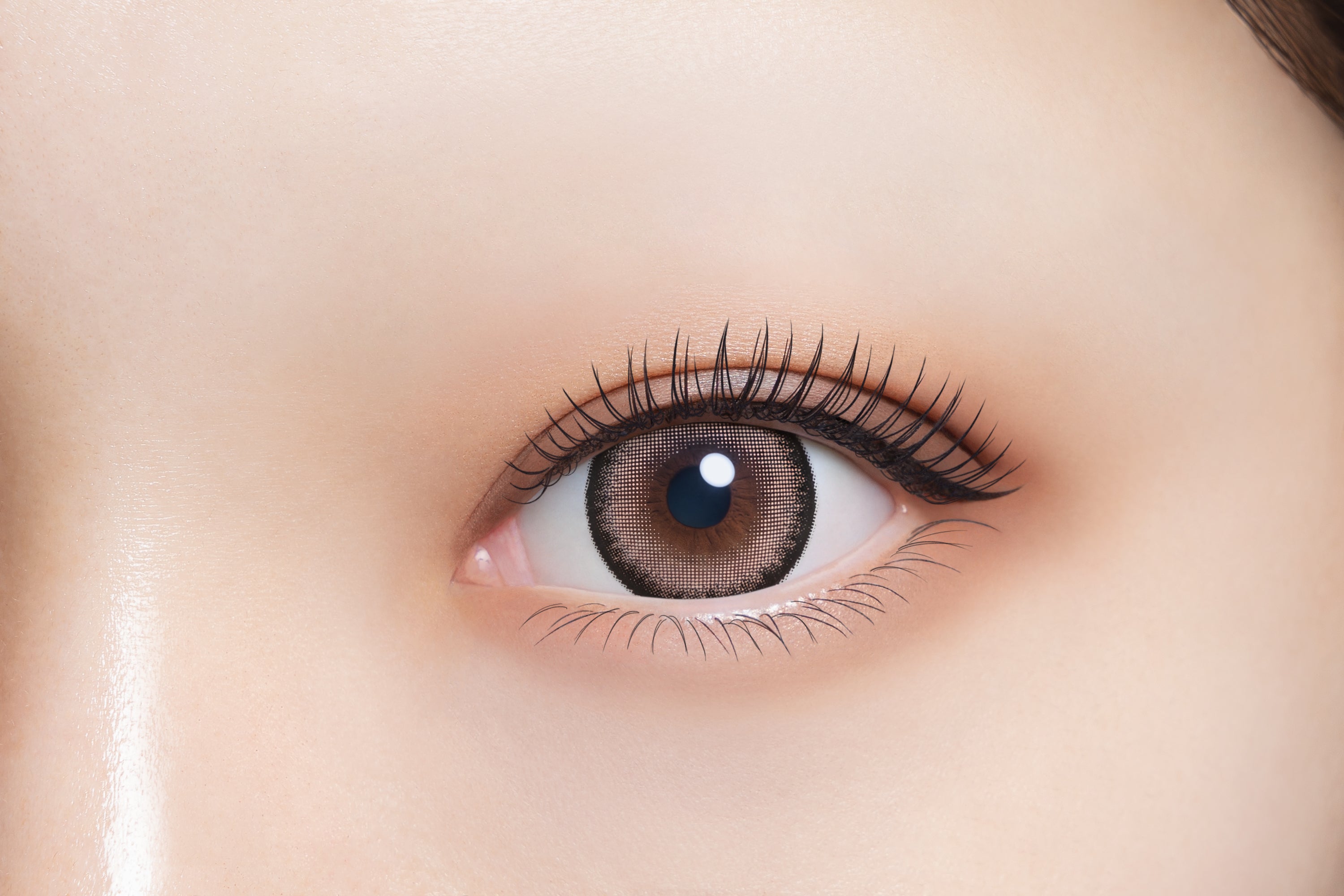 Spaisy Queen | 1hari