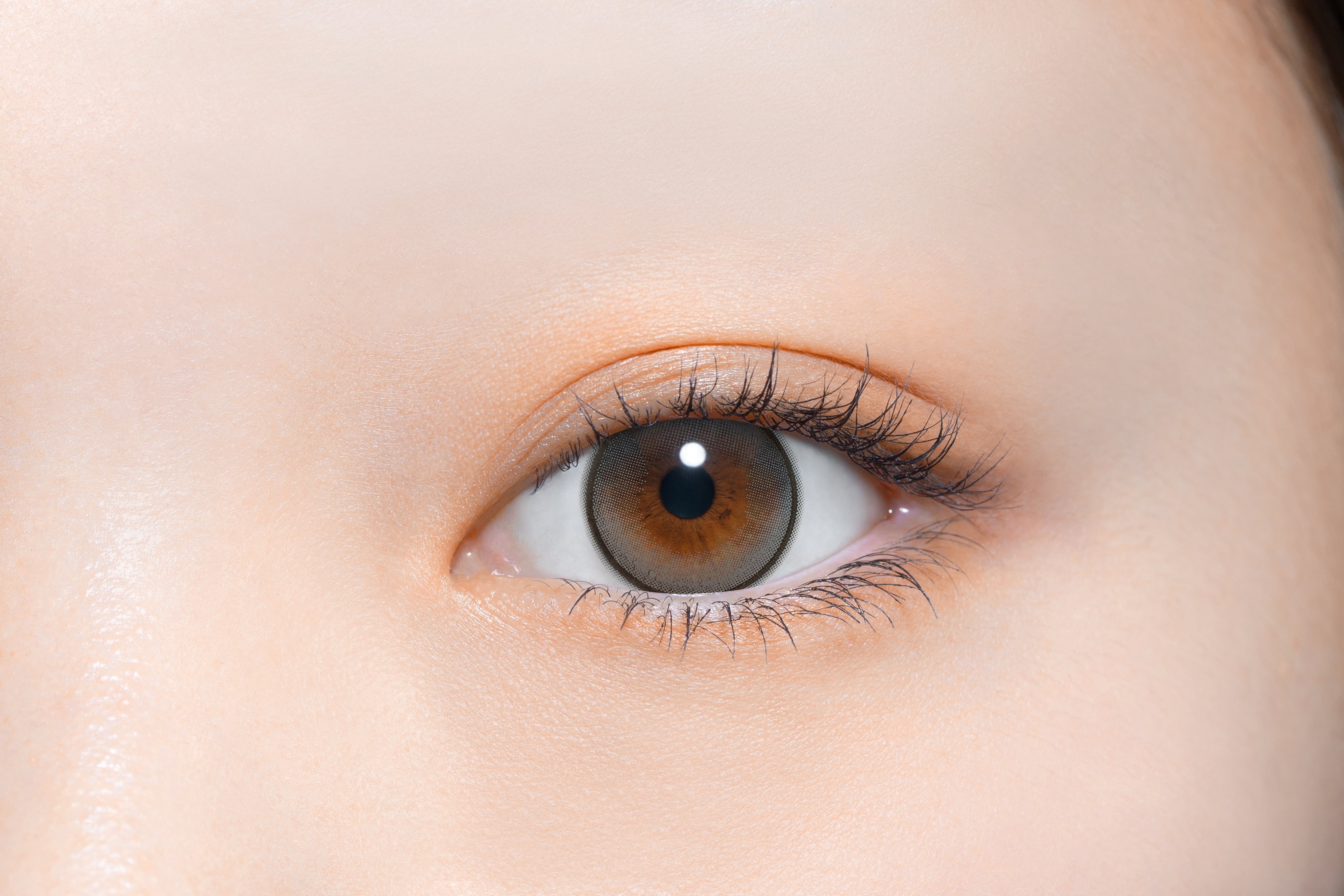 코알라회색 | 1일용