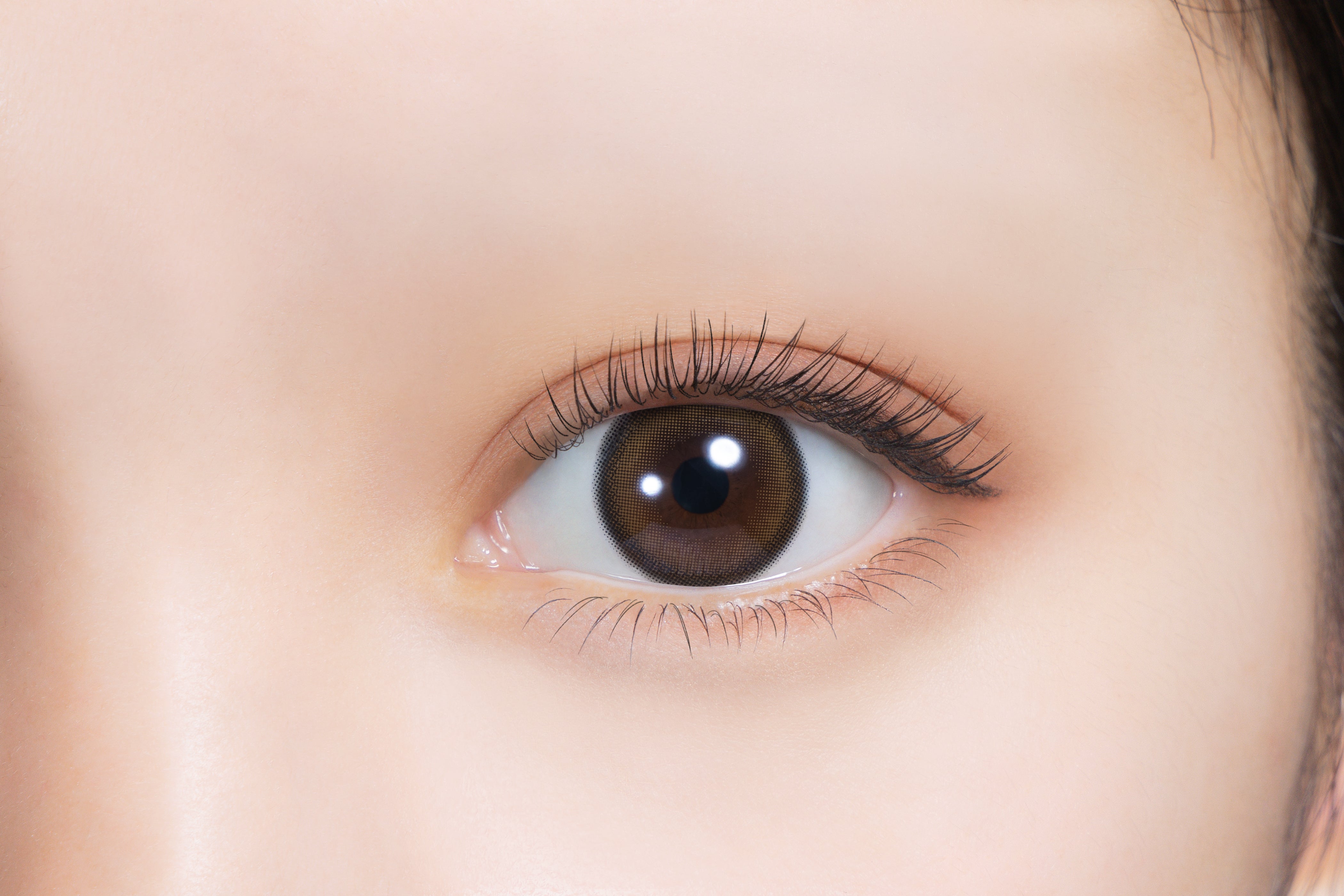 우롱티 | 우롱티 1개월용