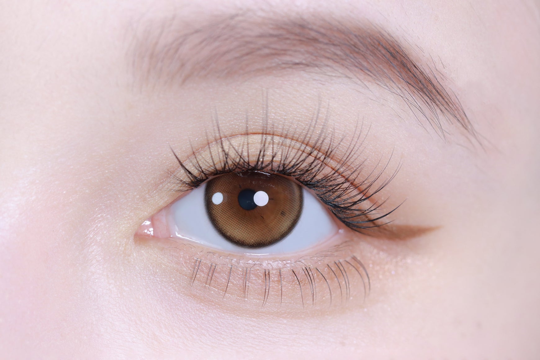 เซโร่เฮเซล | 1วัน