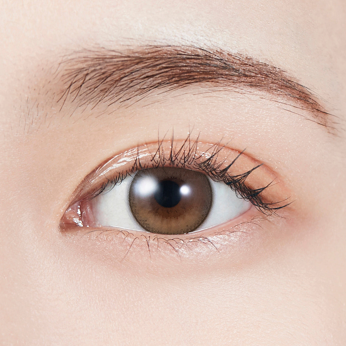 dawlishMarrone Lenti toriche | 1 giorno