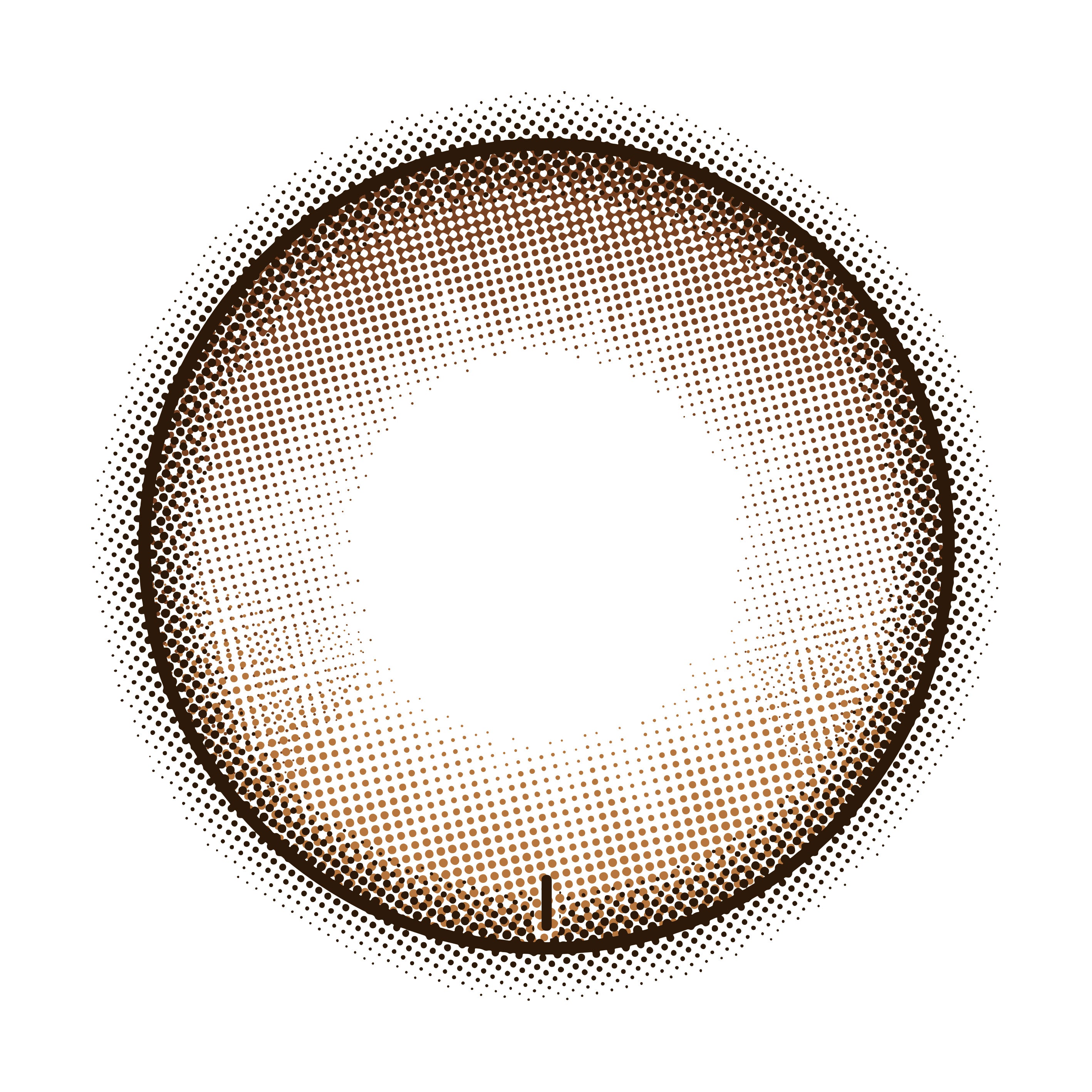 DawlishBraun Torische Linsen | 1Tag