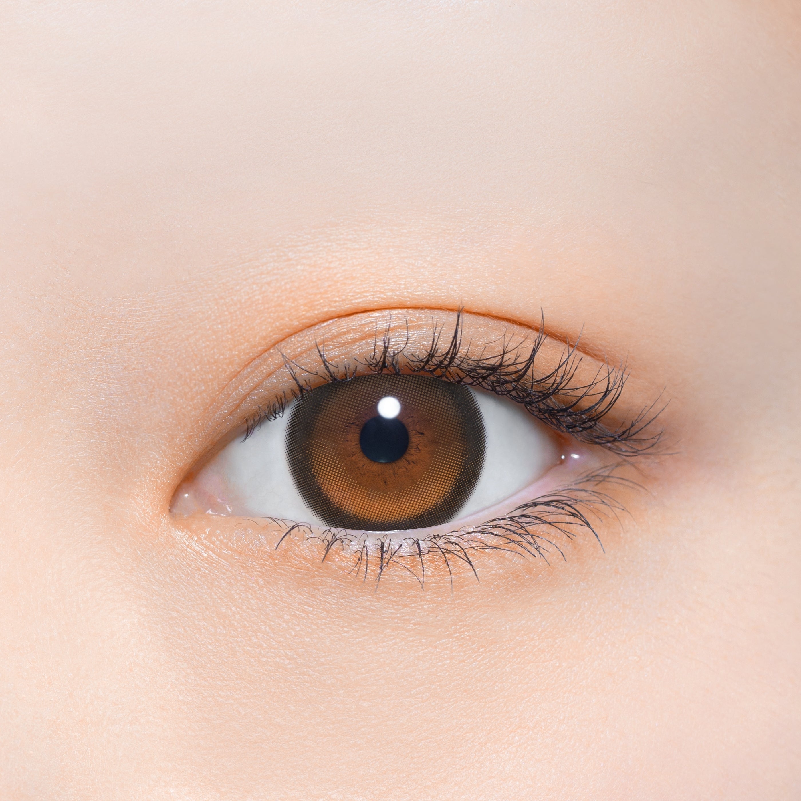 ซานีเบียร์ | 1day