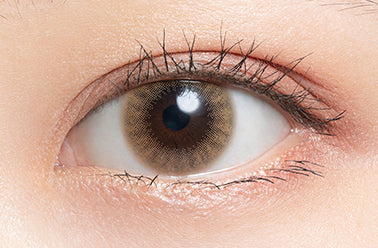 เมเปิ้ล | 1วัน