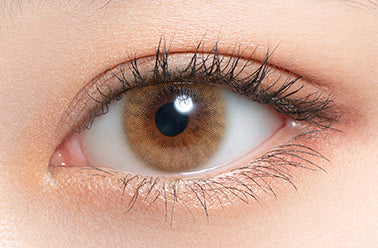 เมเปิ้ล | 1วัน