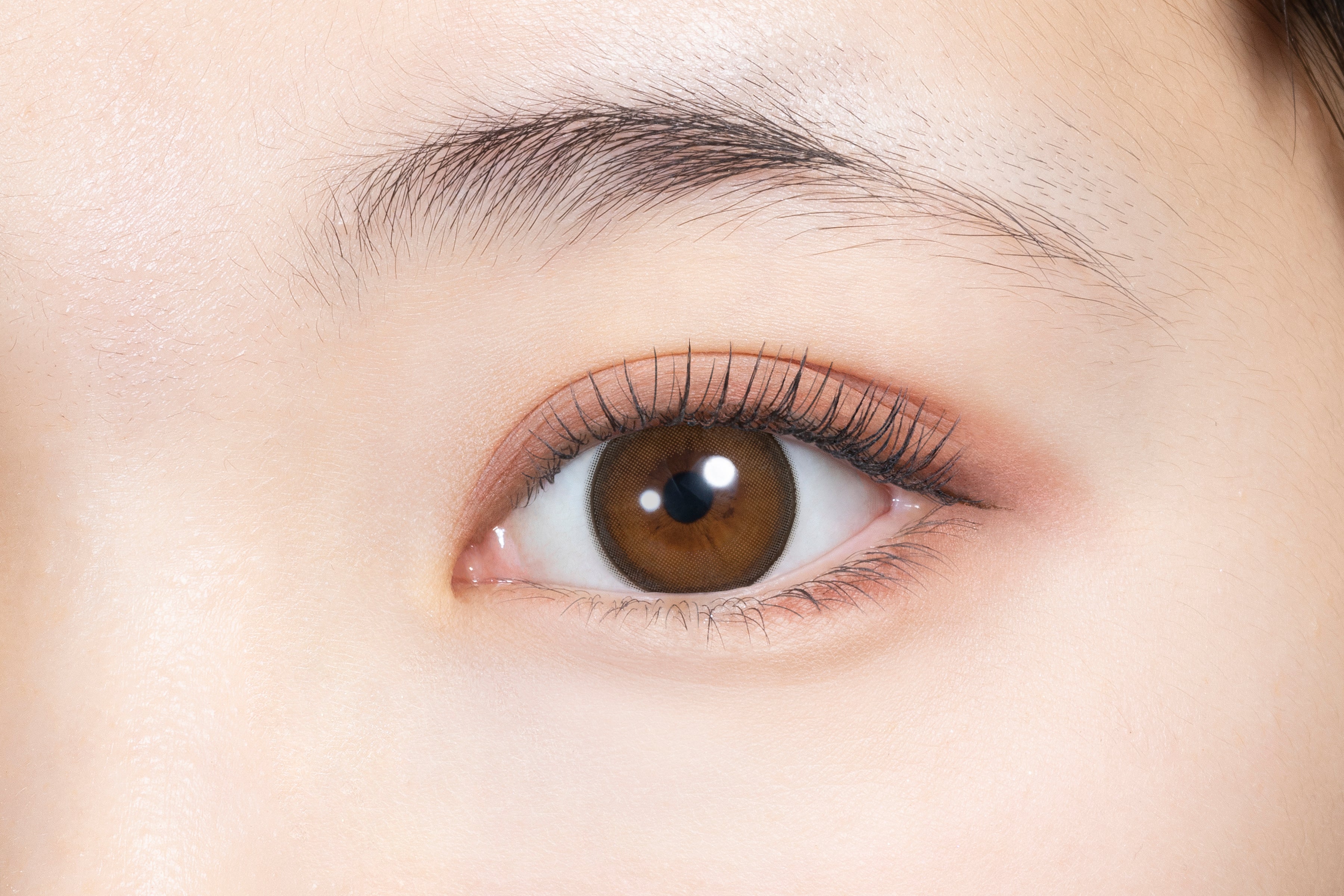 Anello di inattività. 1 giorno