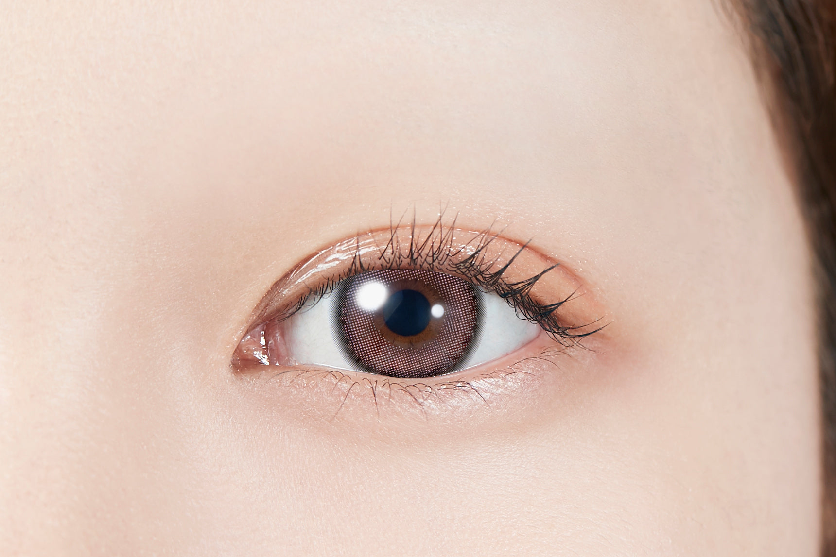 ورديقنبلة | 1 يوم