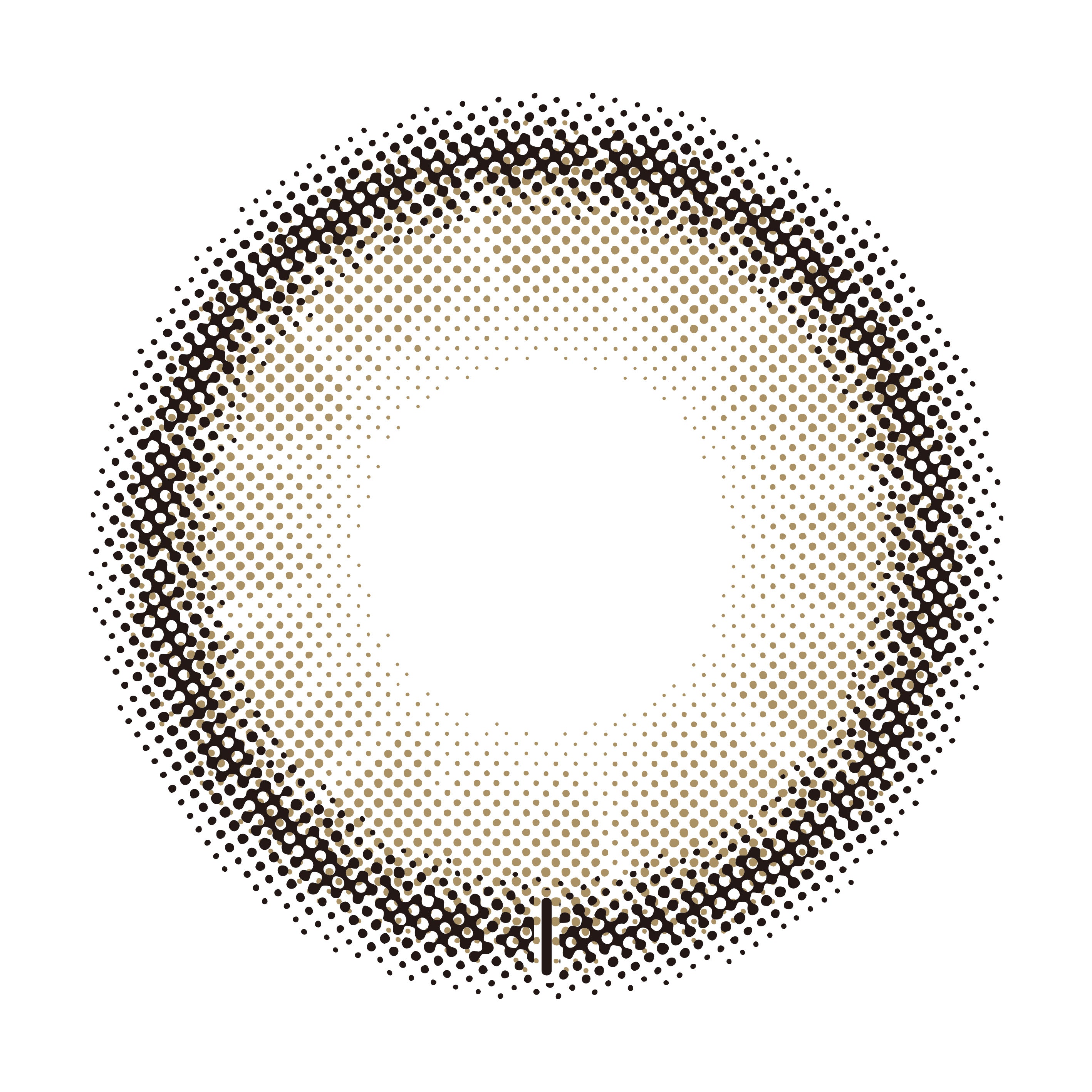 DazulGray Torische Linsen | 1Tag