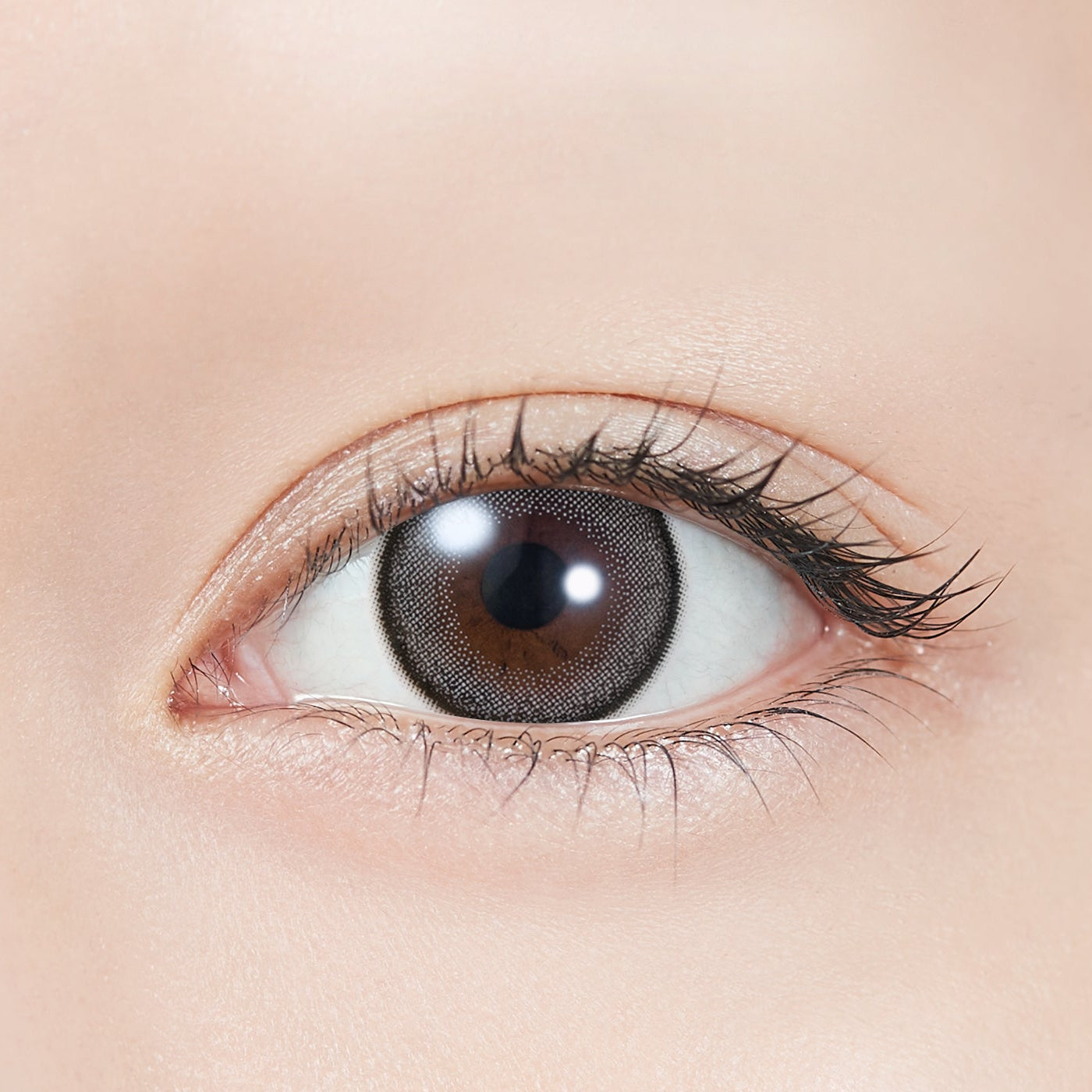 كاتبارل | 1 يوم