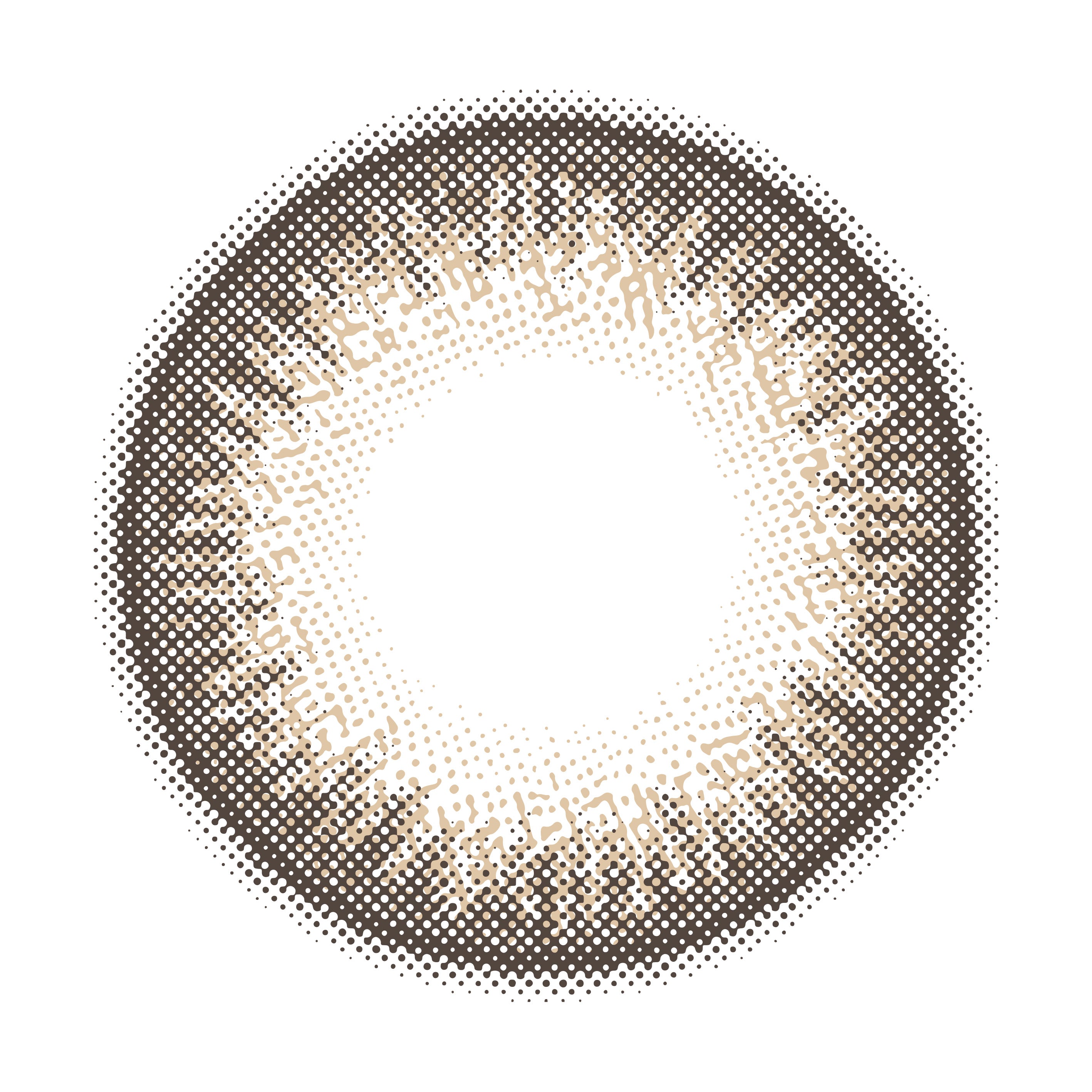 KlassischBraun | 1Tag