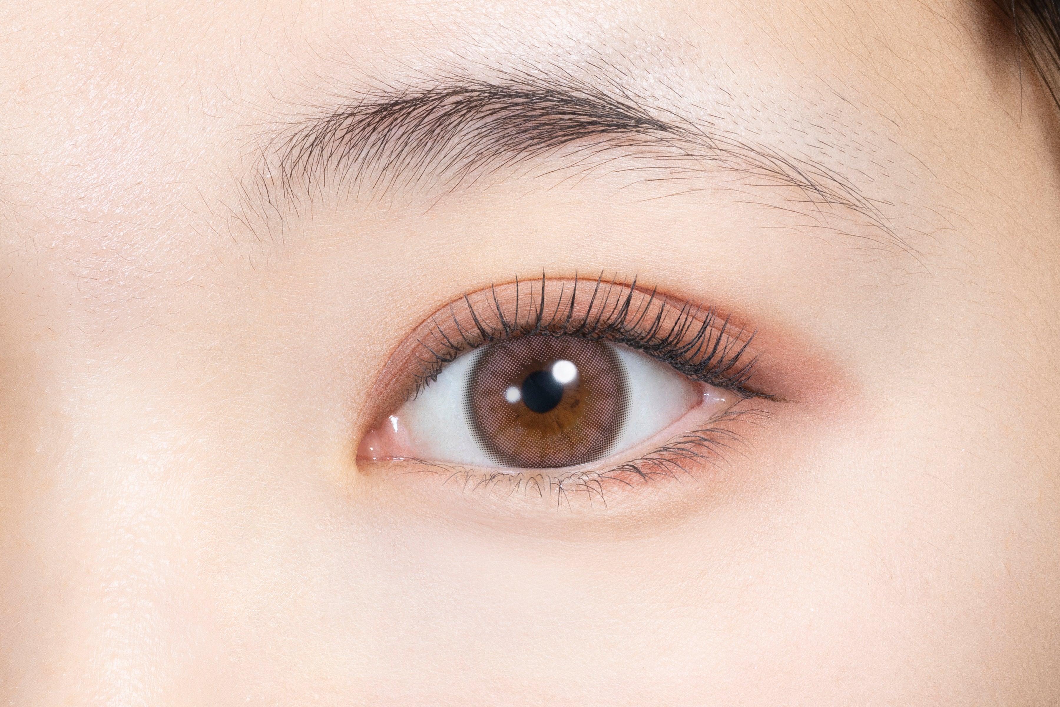 Rosa bugiarda 1 giorno