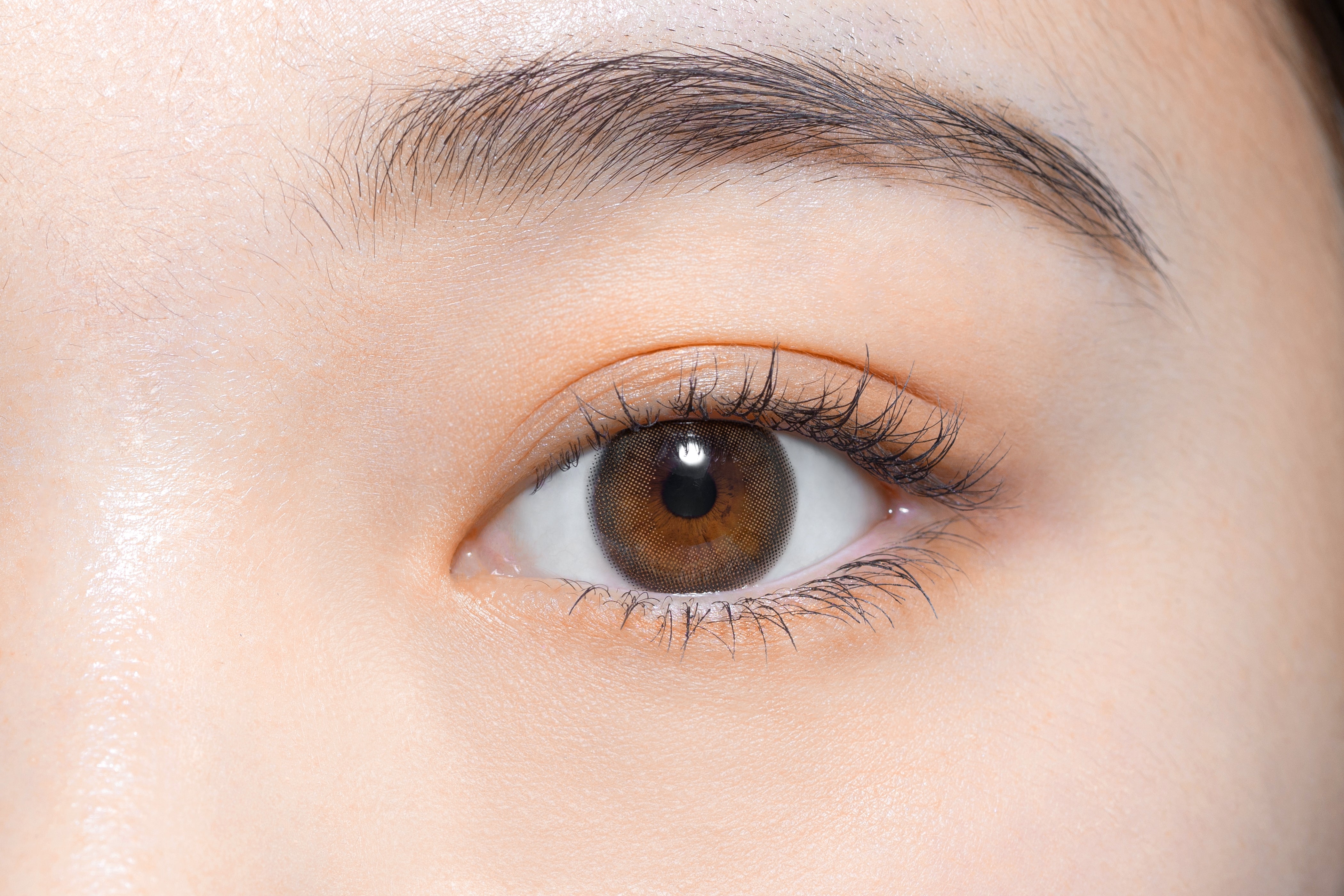 orsetto (tipo di agnello)Marrone | 1 giorno