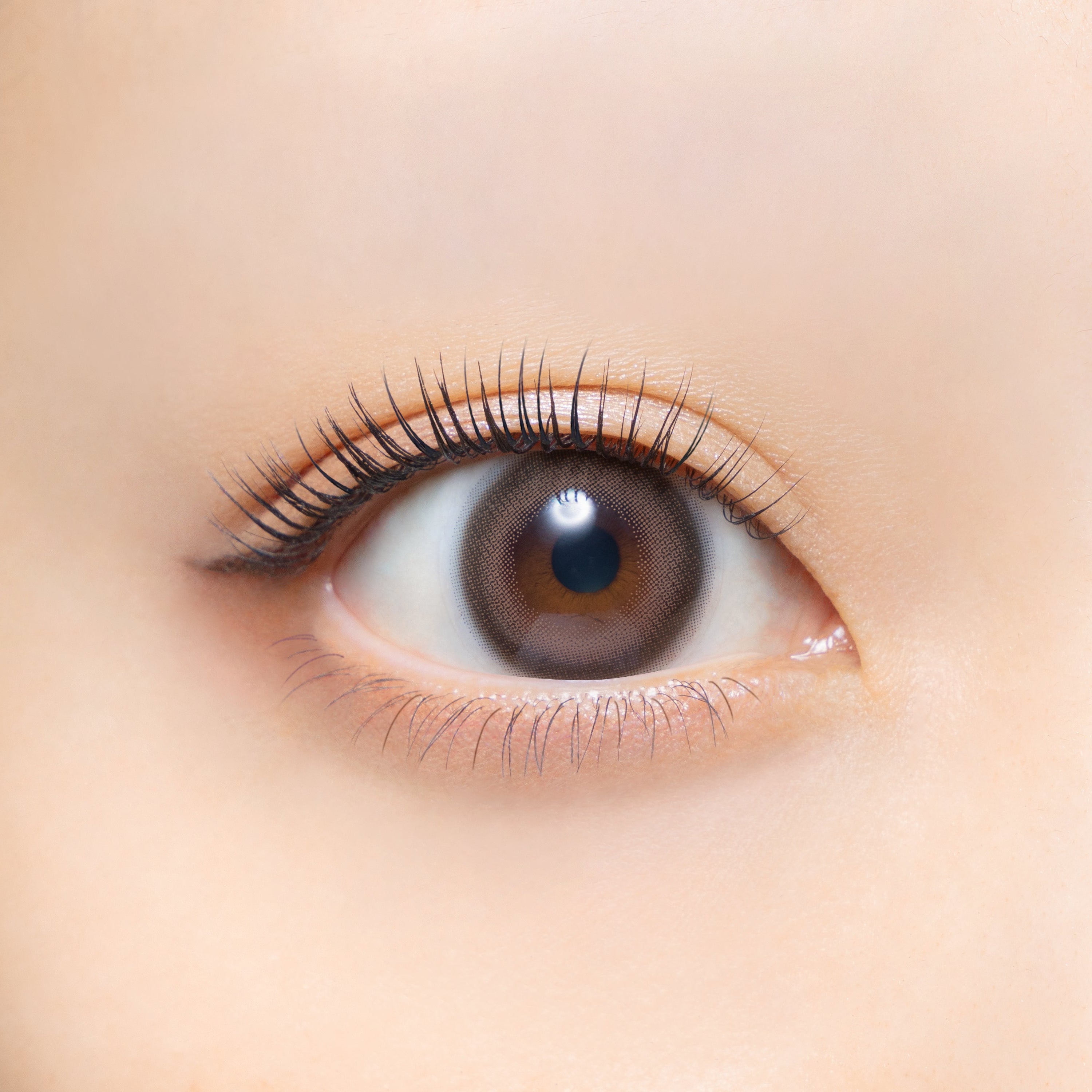 레디모브 | 1일용