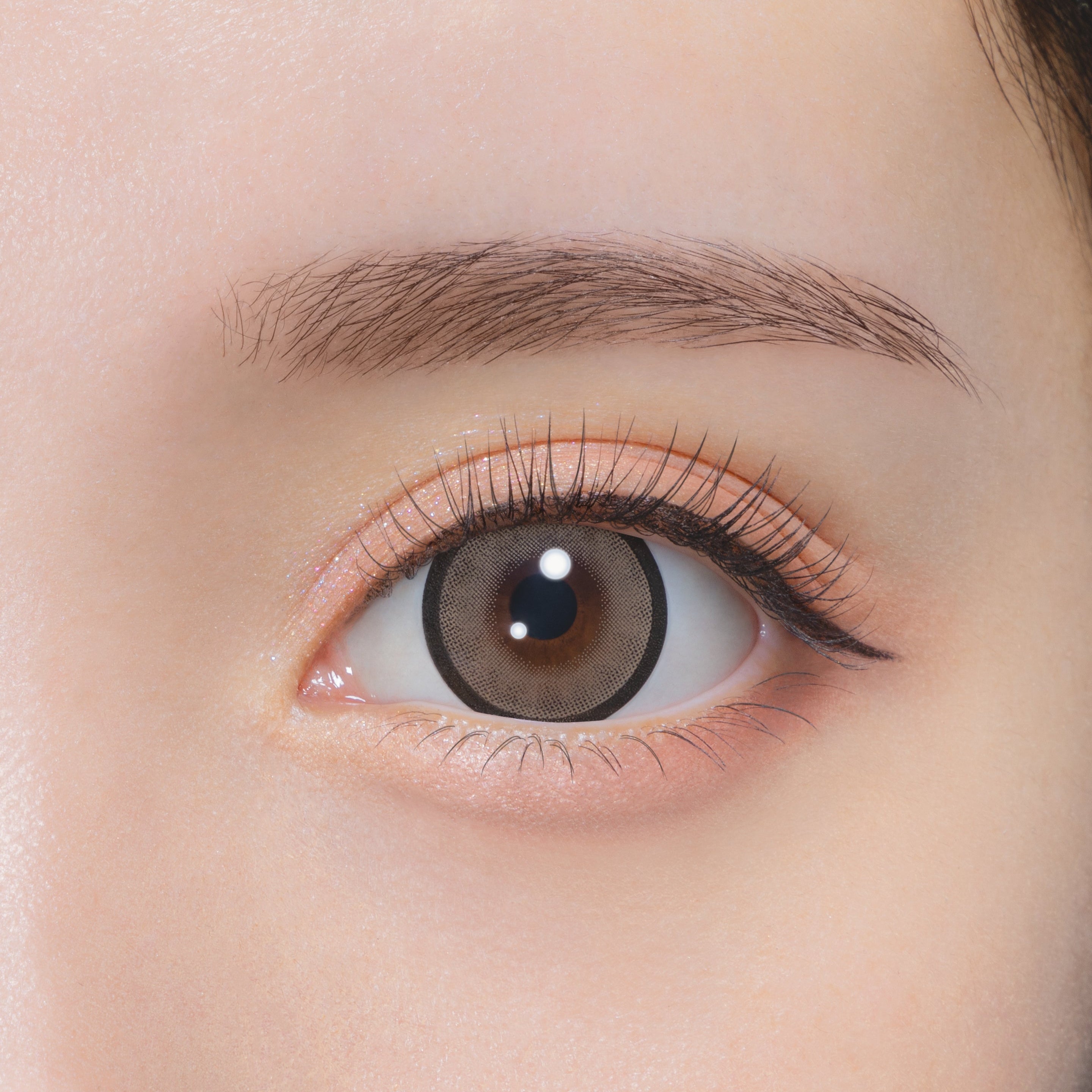 비스켓베이즈 | 1일용