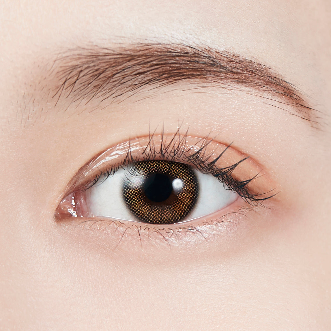 โคอารัลสีน้ำตาล | 1 เดือน