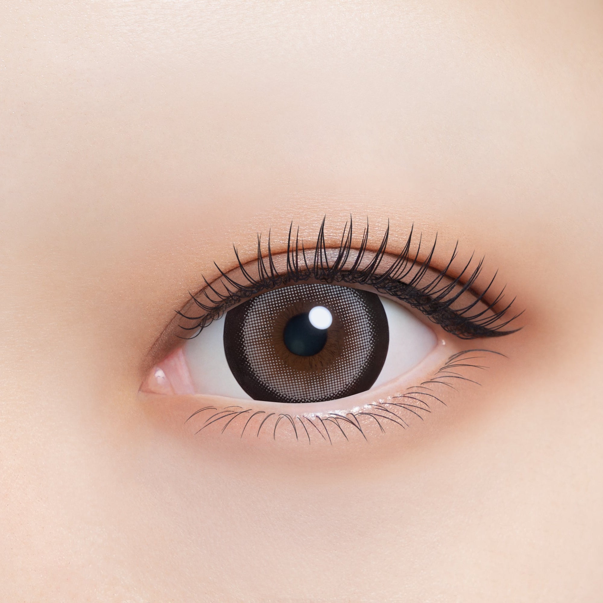 Serigala Perak | 1day