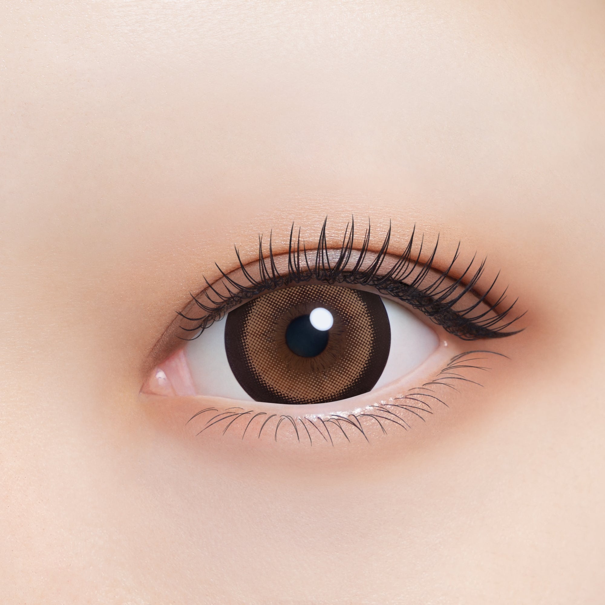 Charmi Kucing | 1day