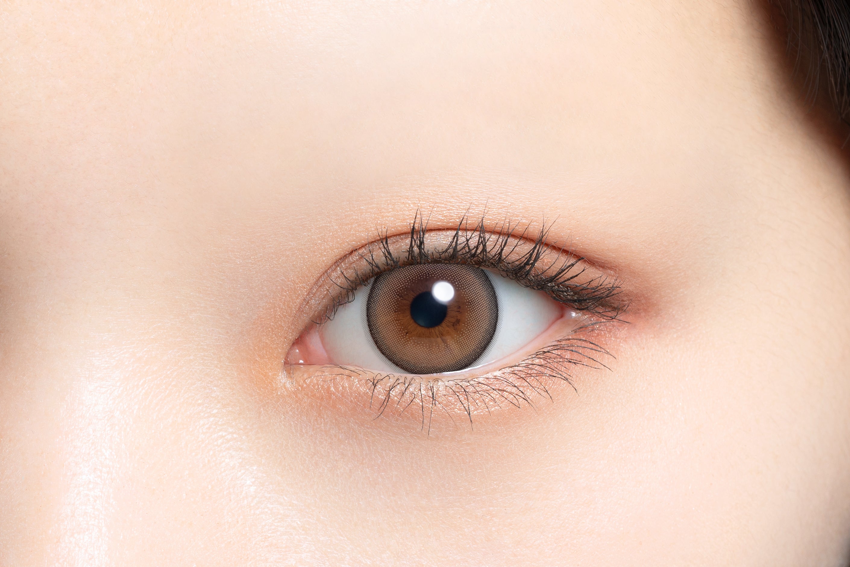 ฟินาเช่ | 1วัน