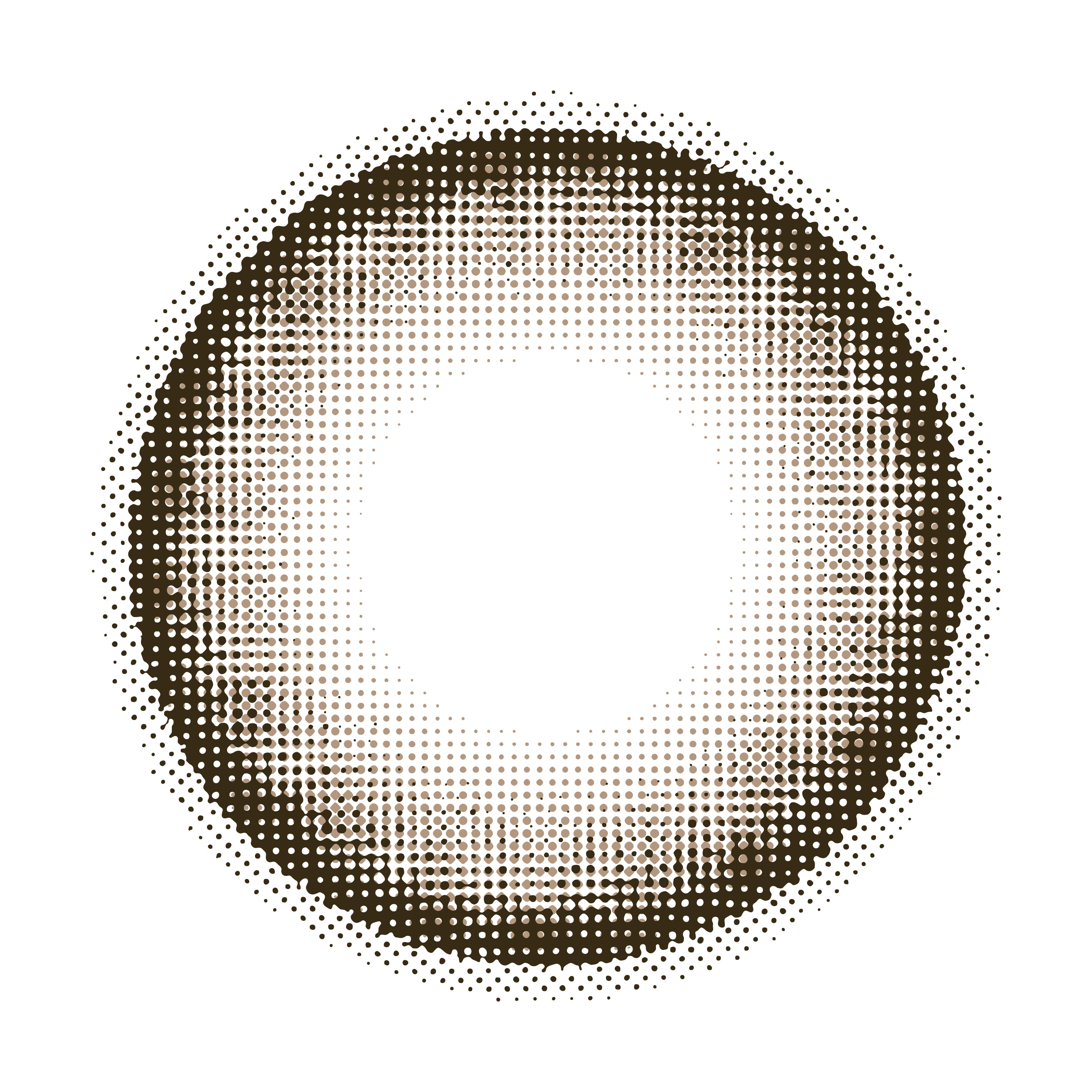 트루프그레이 | 1day