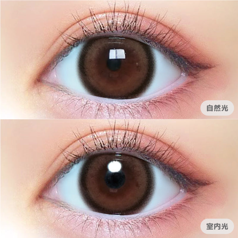 Bébé érable | 1 jour