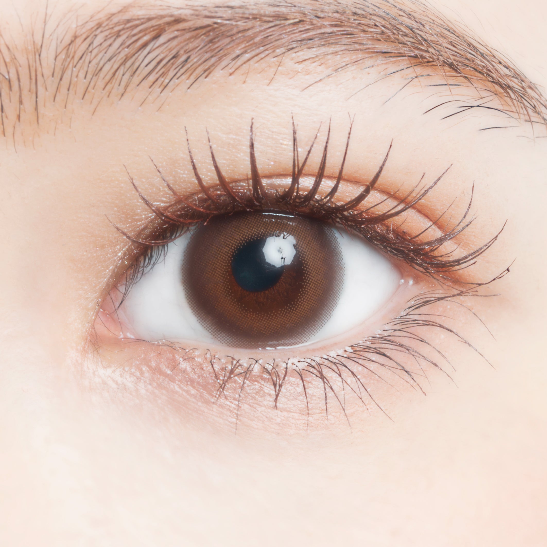 siropMarron | 1 jour