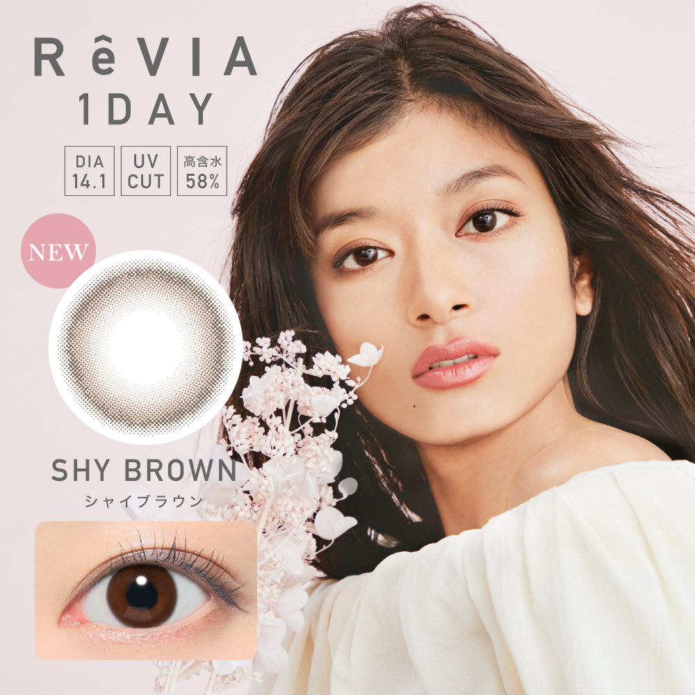 수줍음브라운 | 1일용