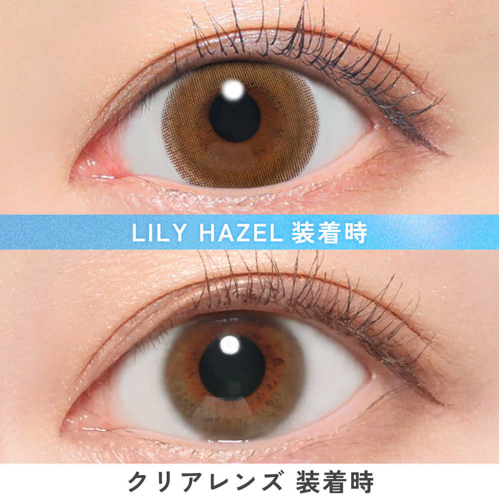 Lily Hazel |. 1 dia