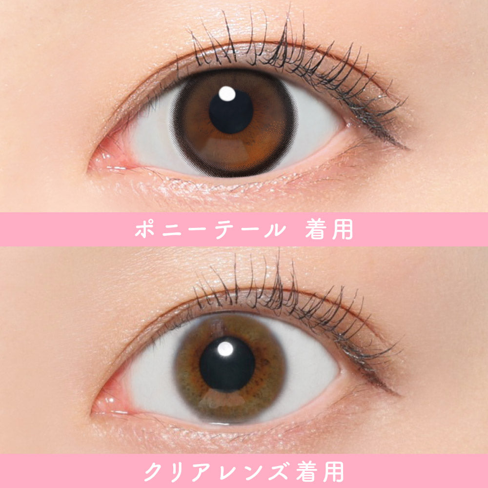 Queue de cheval |. 1 jour