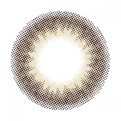 브라운퐁듀 토릭 렌즈 | 1일용