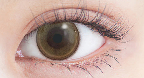 #29 메이플 | 1month