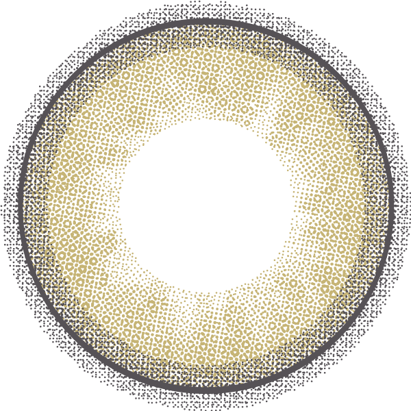 #29 Érable | 1month