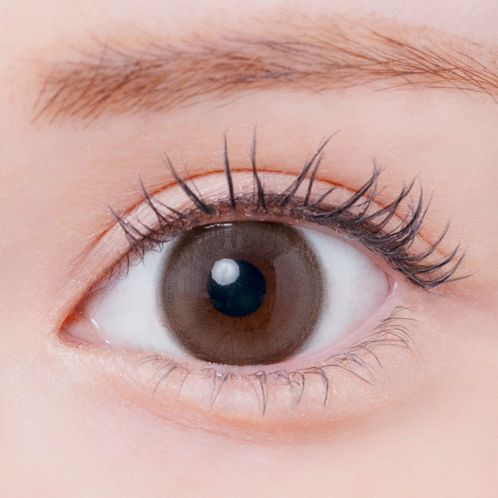 Gugusan daun luruh | 1hari