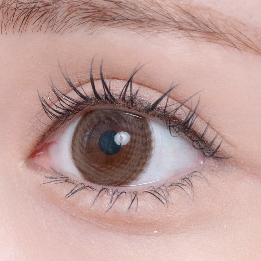 Gugusan daun luruh | 1hari