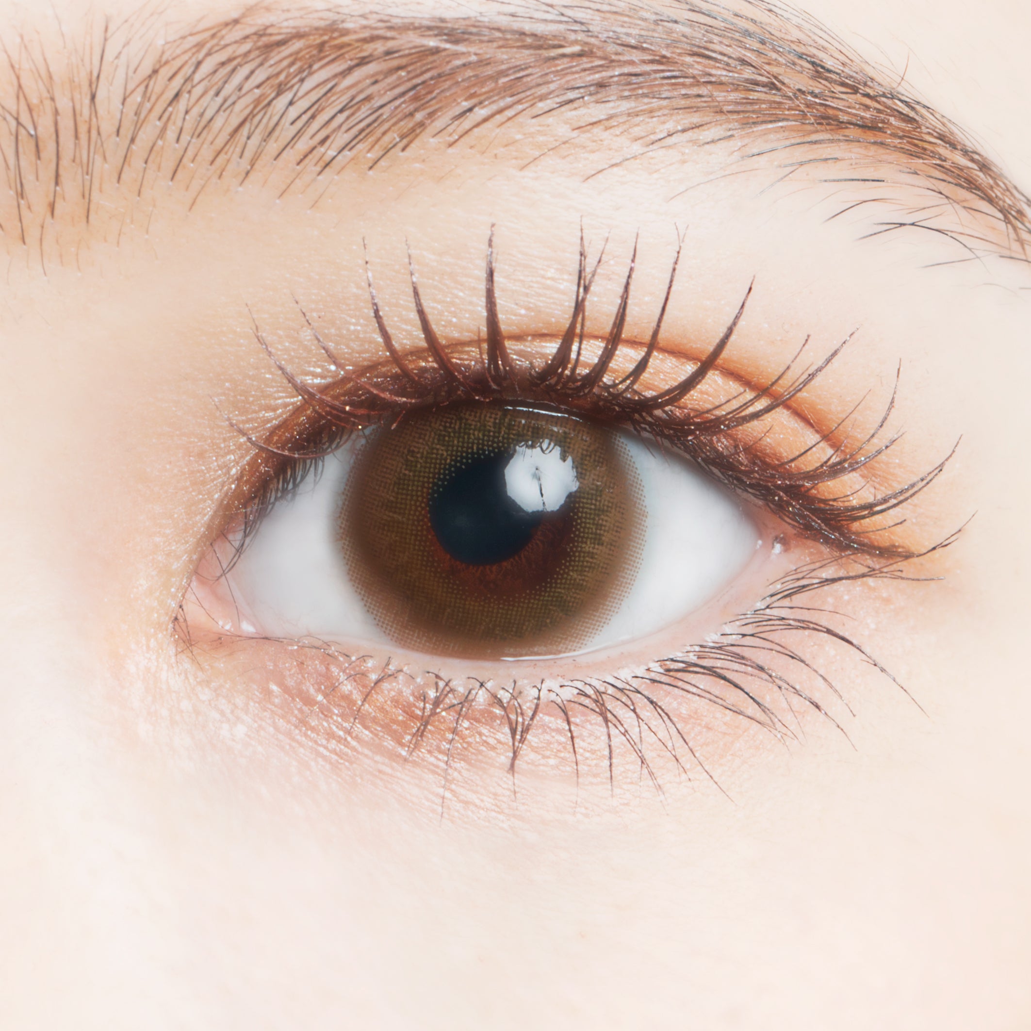 วอเตอร์คาร์คี | 1วัน