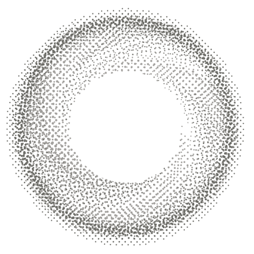 아메리칸·그레이 | 1day