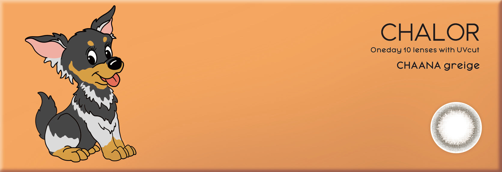 ชาーナเกรย์ | 1วัน