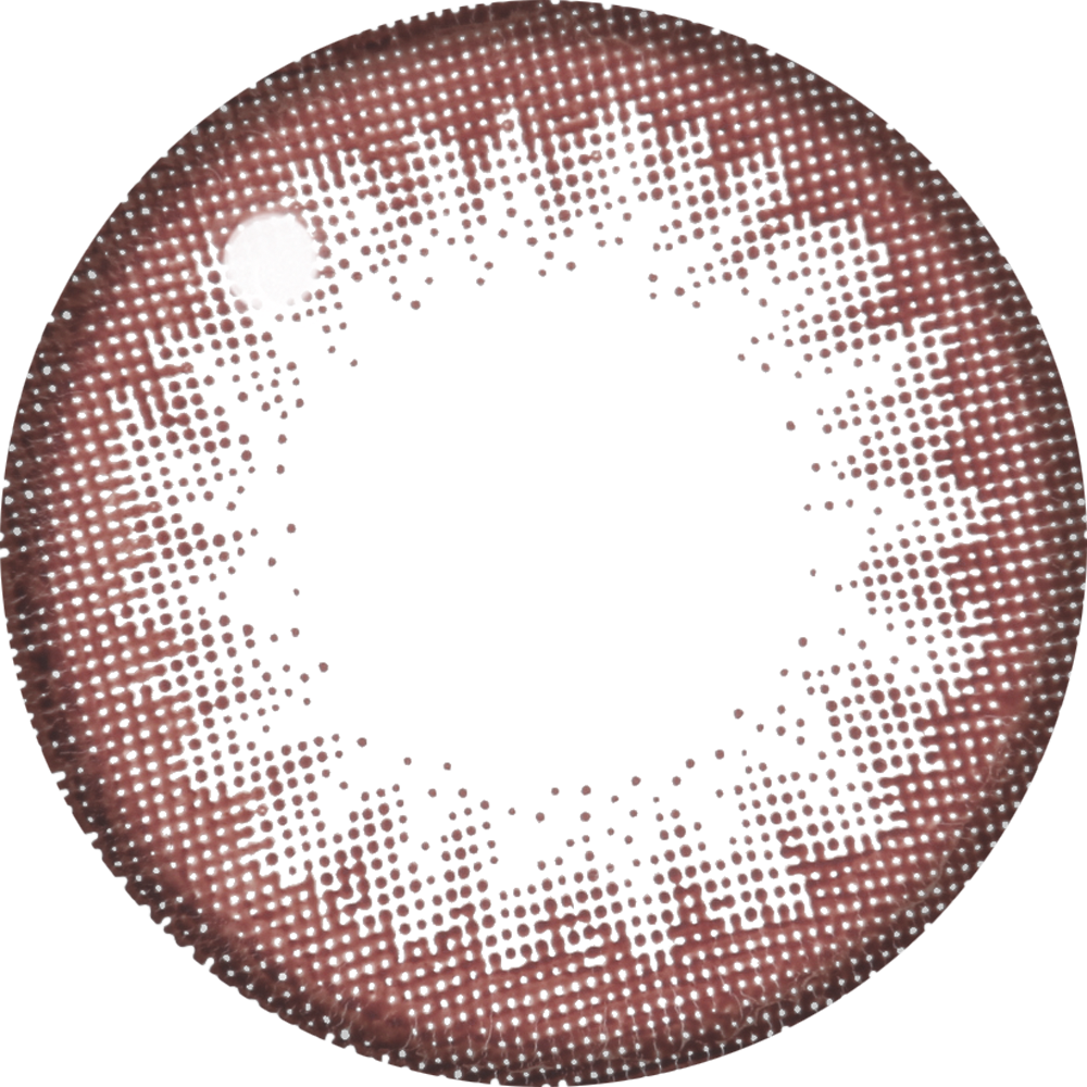 شوكولاتة المبتدئين |. 1 يوم