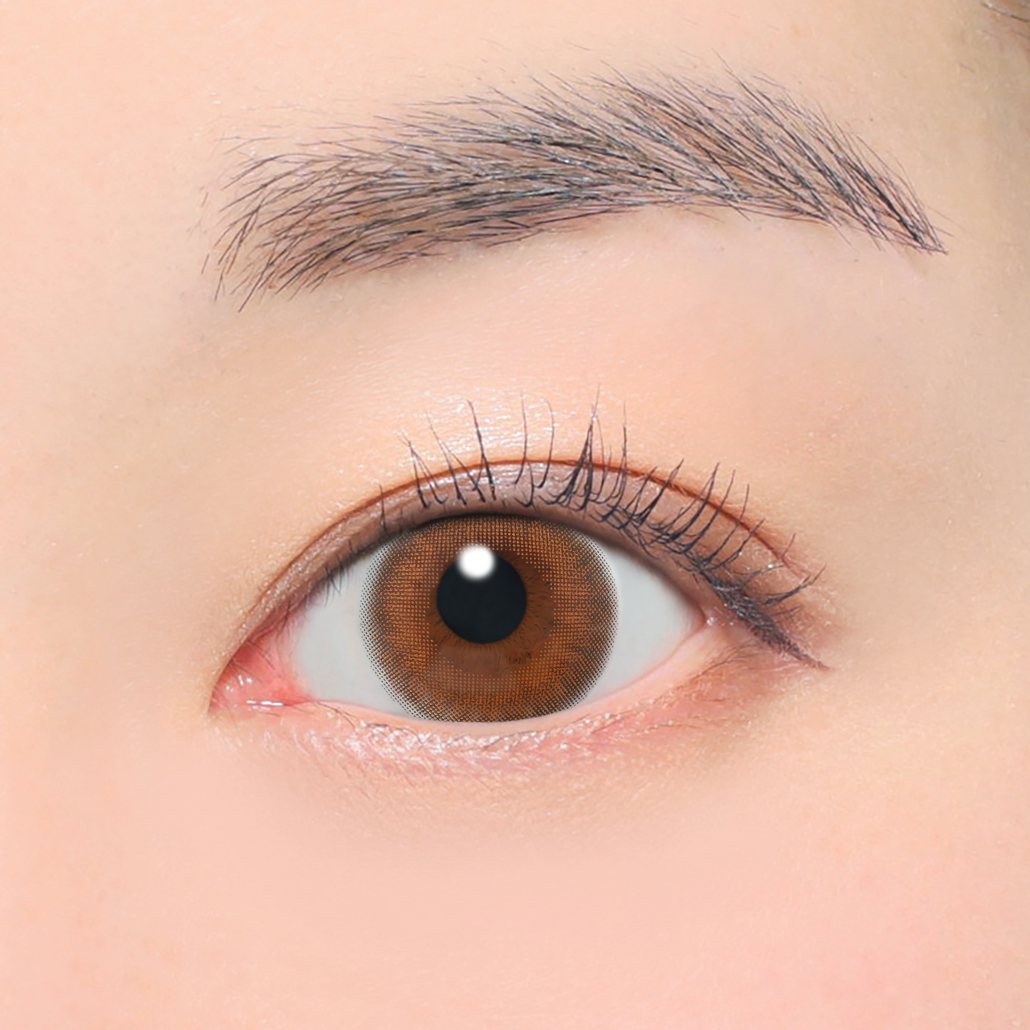 Etoile thuần túy | 1 ngày