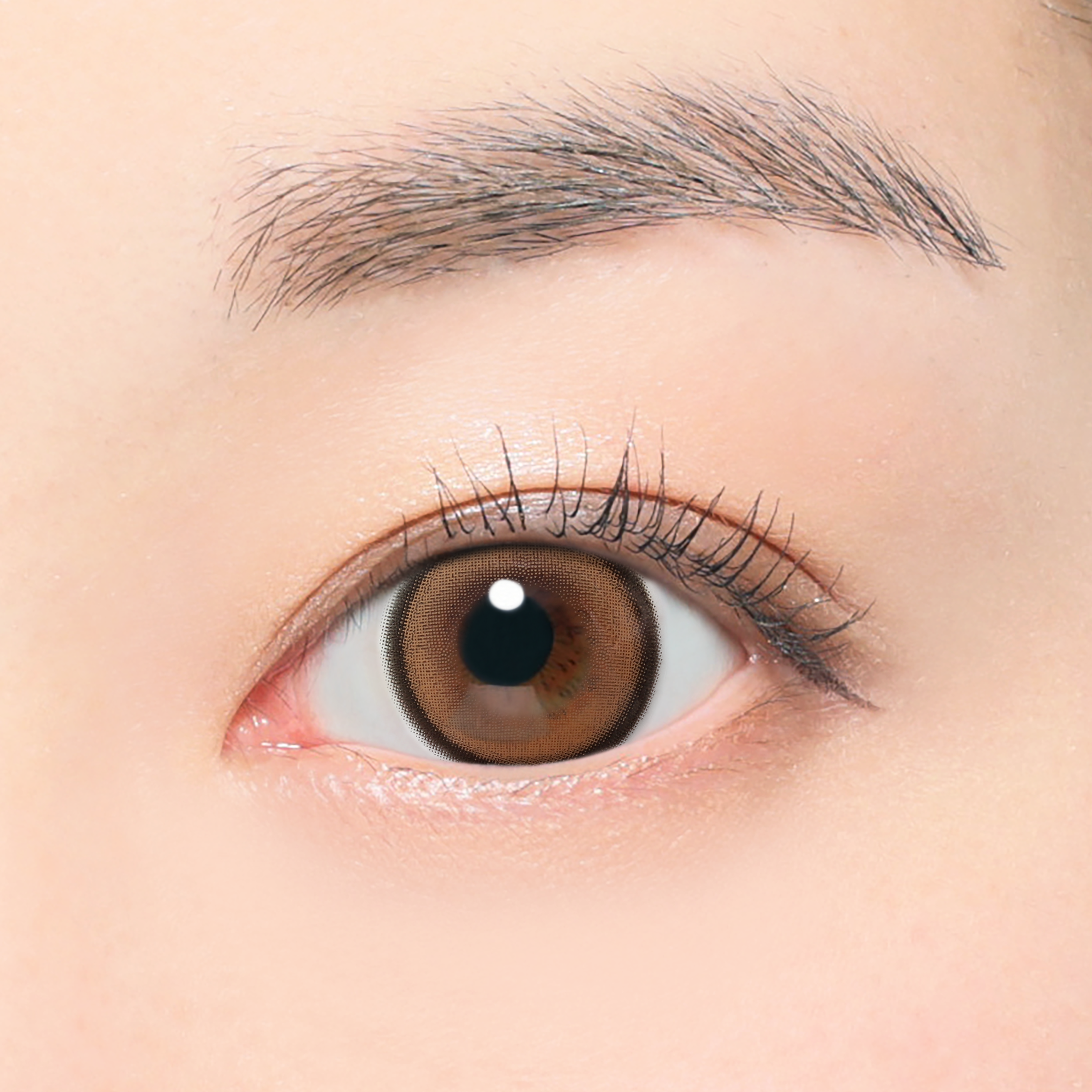 멜로브라운 | 1개월용