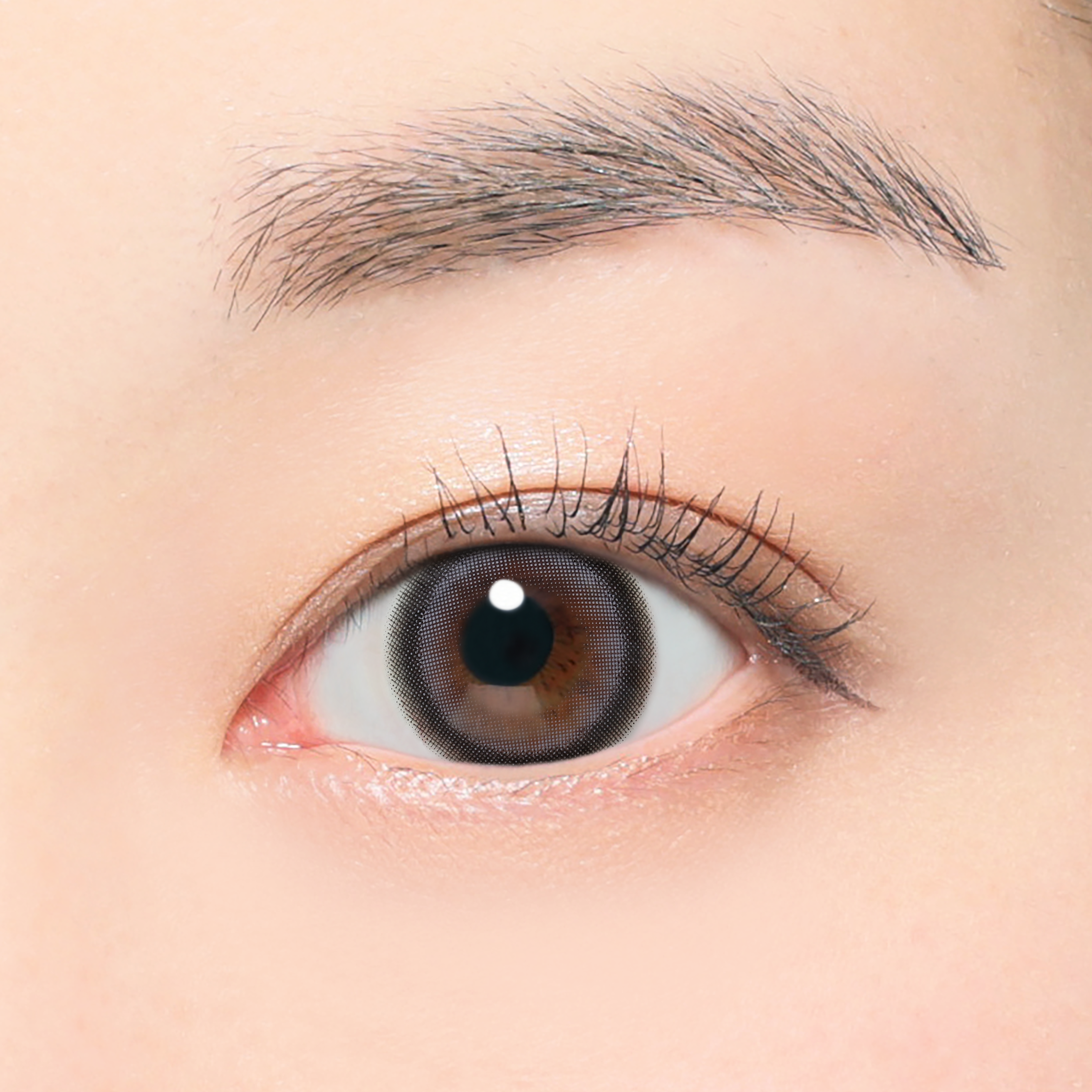 มิมิสีเทา | 1 เดือน