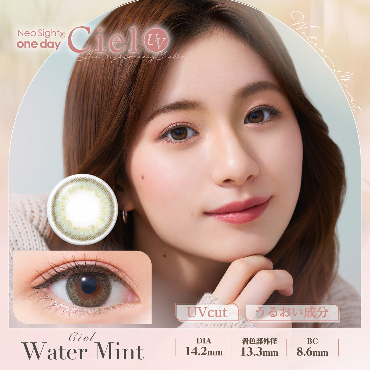 เซียลวอเตอร์มินท์ | 1วัน