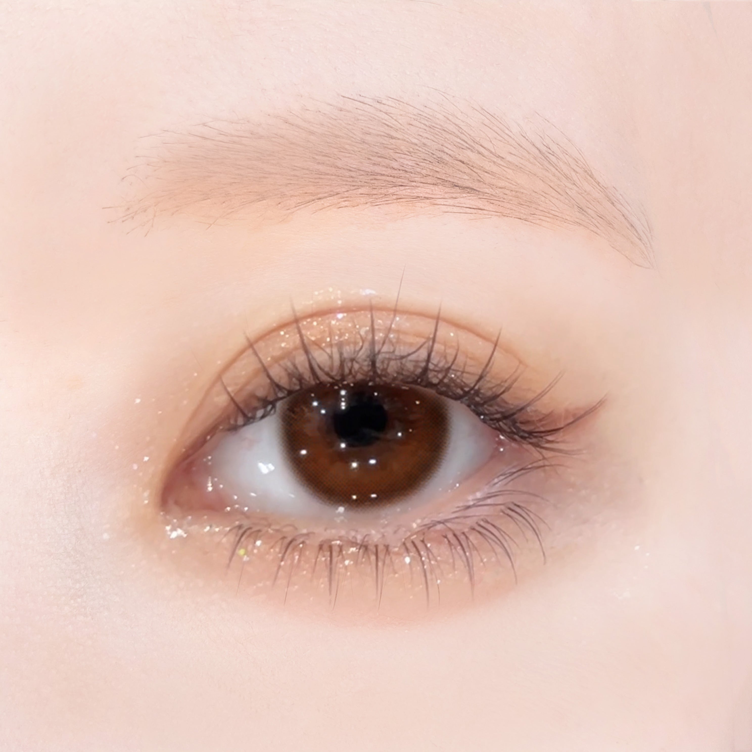 ช็อกโกแลตคอสโมส | 1วัน