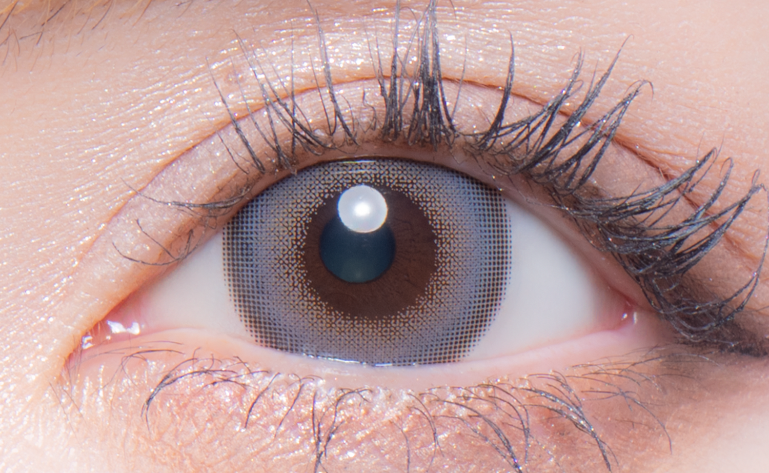 สปาร์คริงสีเทา | 1วัน