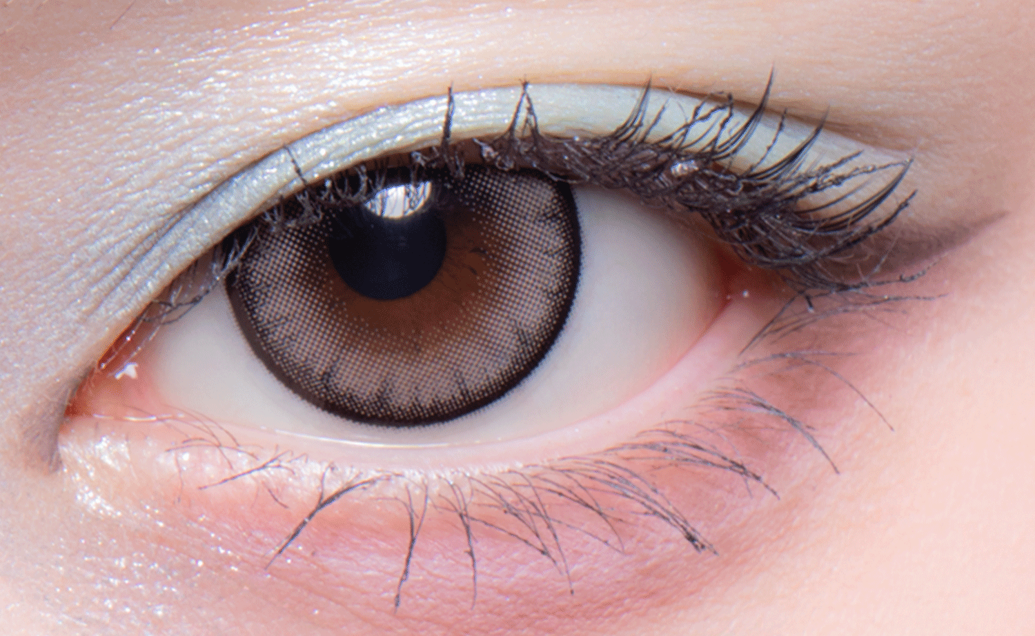 Đèn flash | 1month