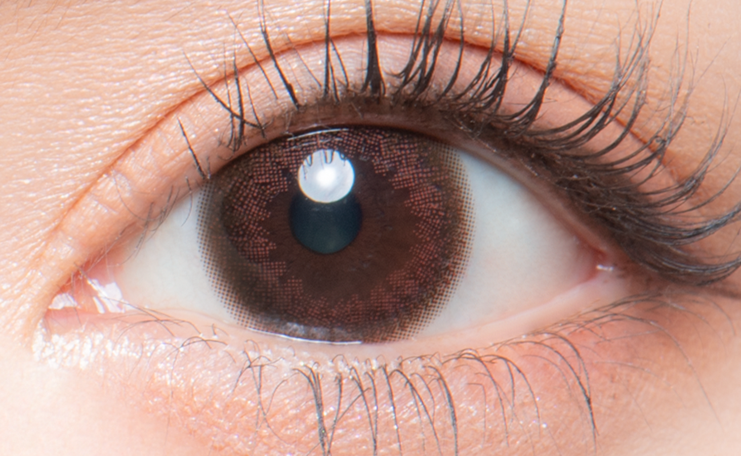 แอร์รี่บราวน์ | 1 เดือน