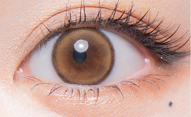 New York | New York City 1 jour