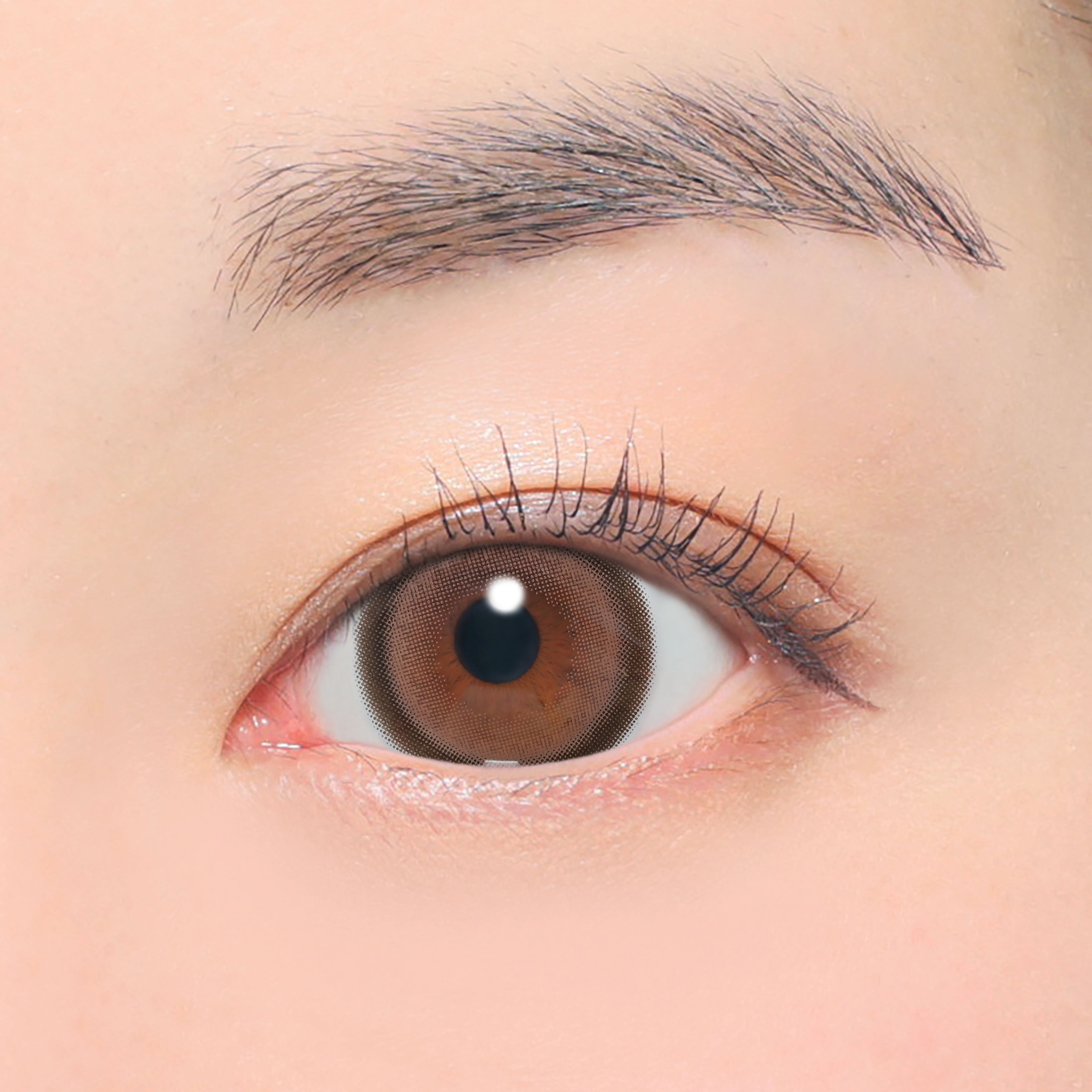 บานิราบราวน์ | 1month