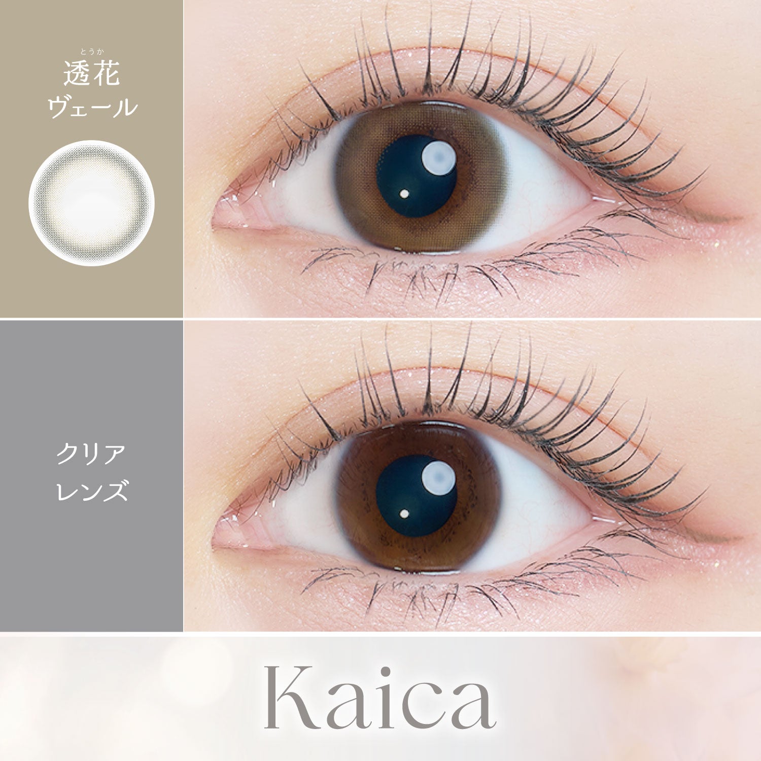 Transparência Véu | 1 dia